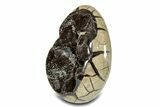 Septarian Dragon Egg Geode - Black Crystals #302863-2